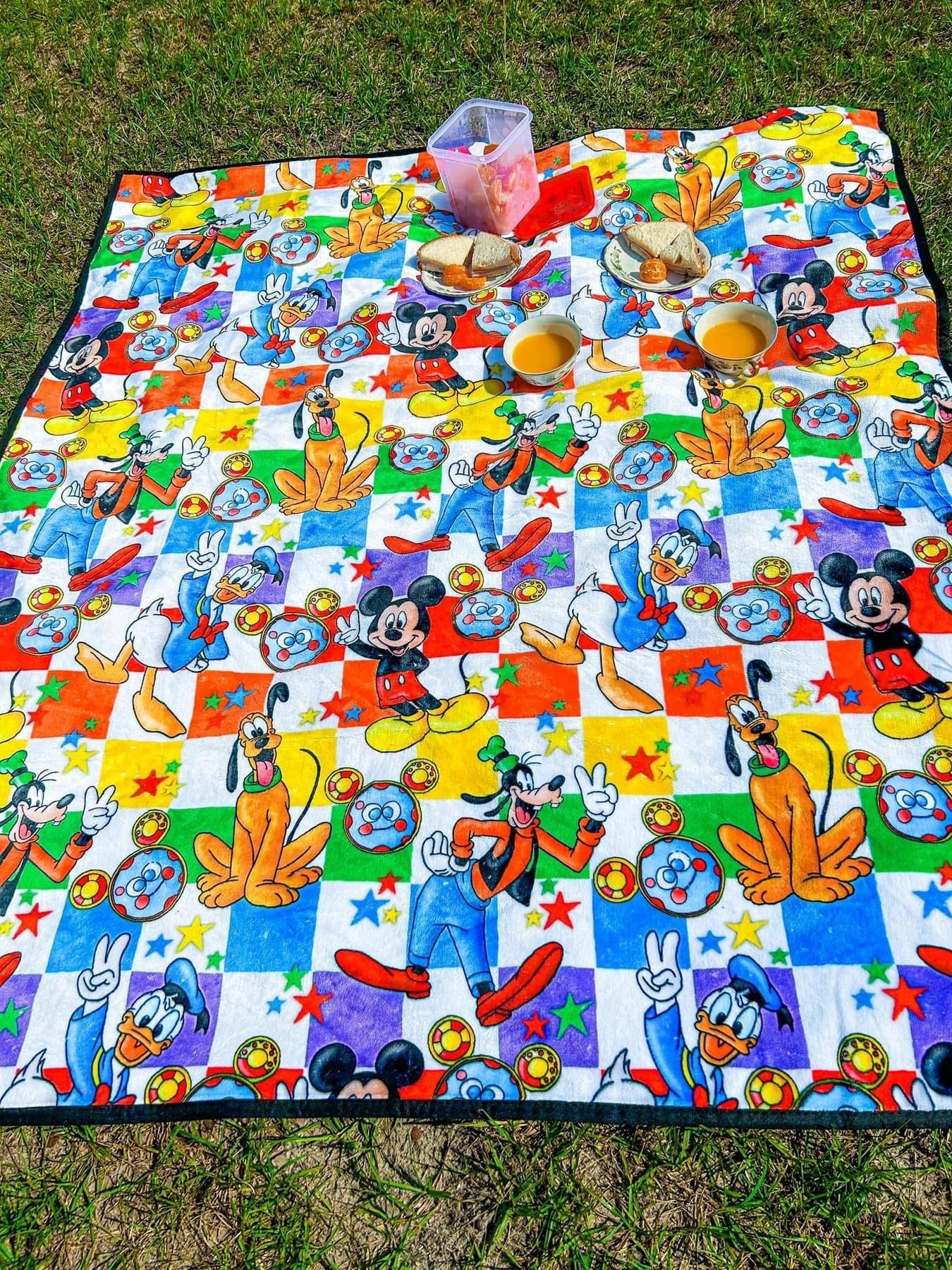 50x60 Play Mat