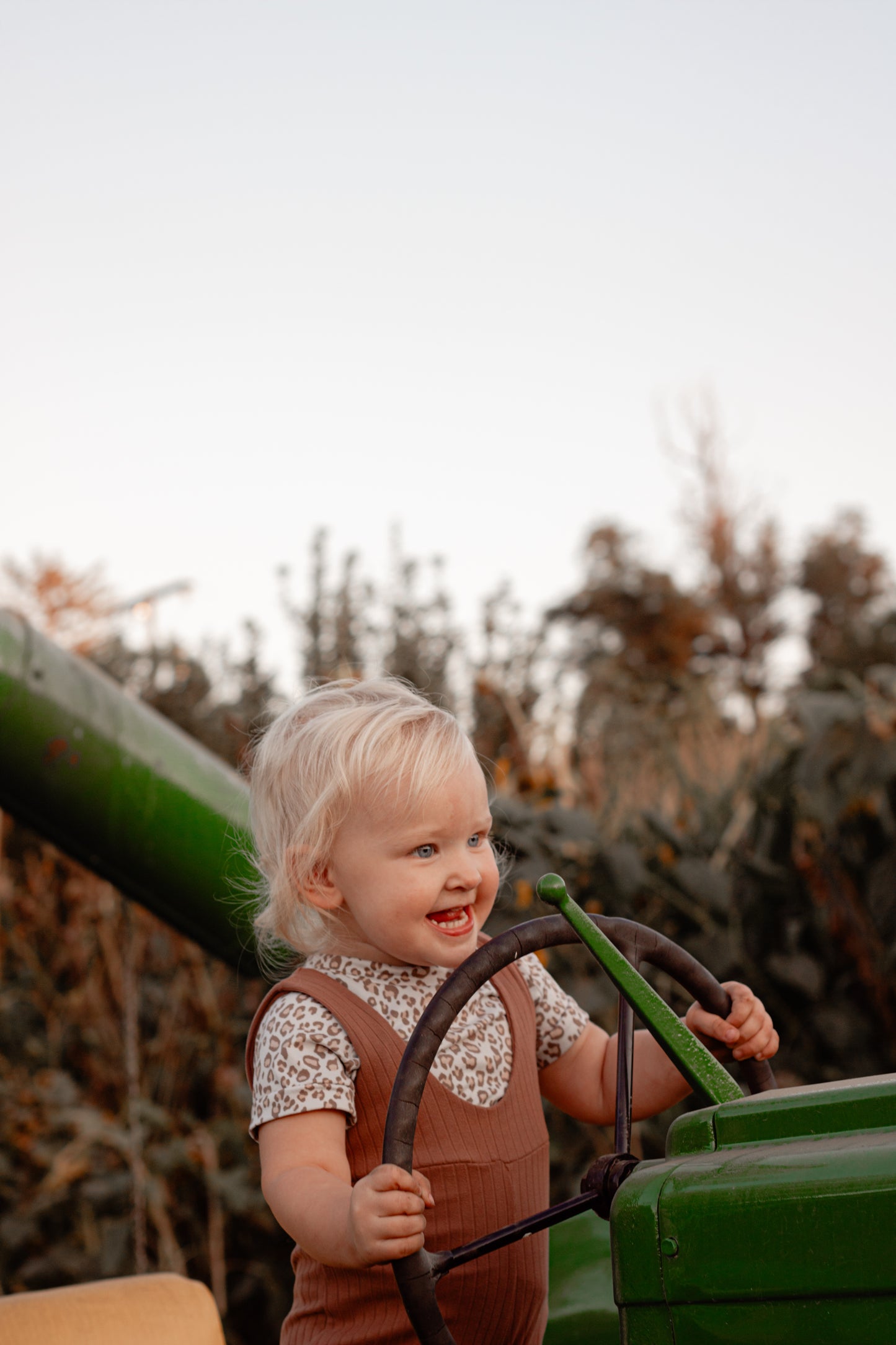 Fall Mini Photoshoot