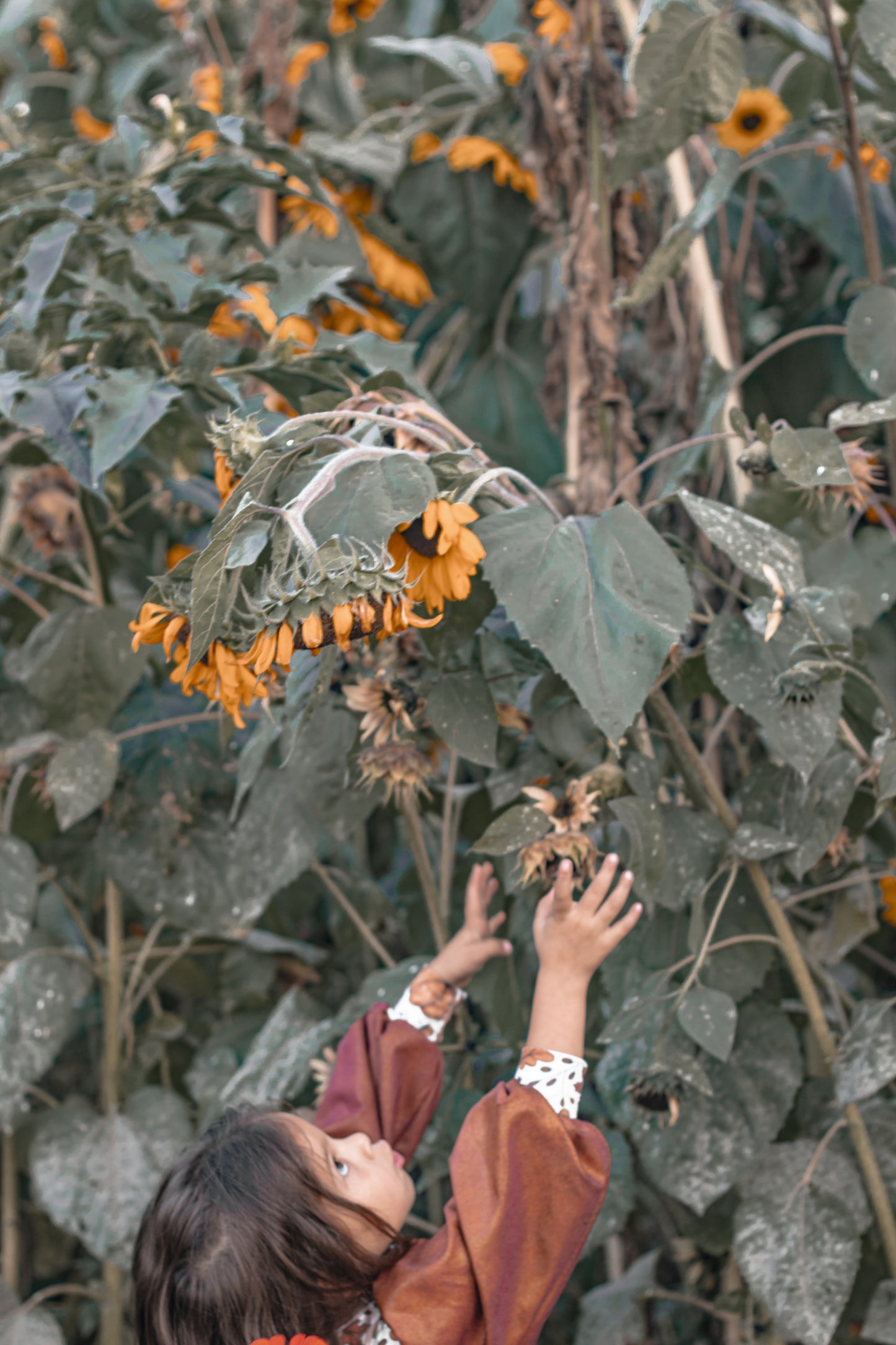 Fall Mini Photoshoot