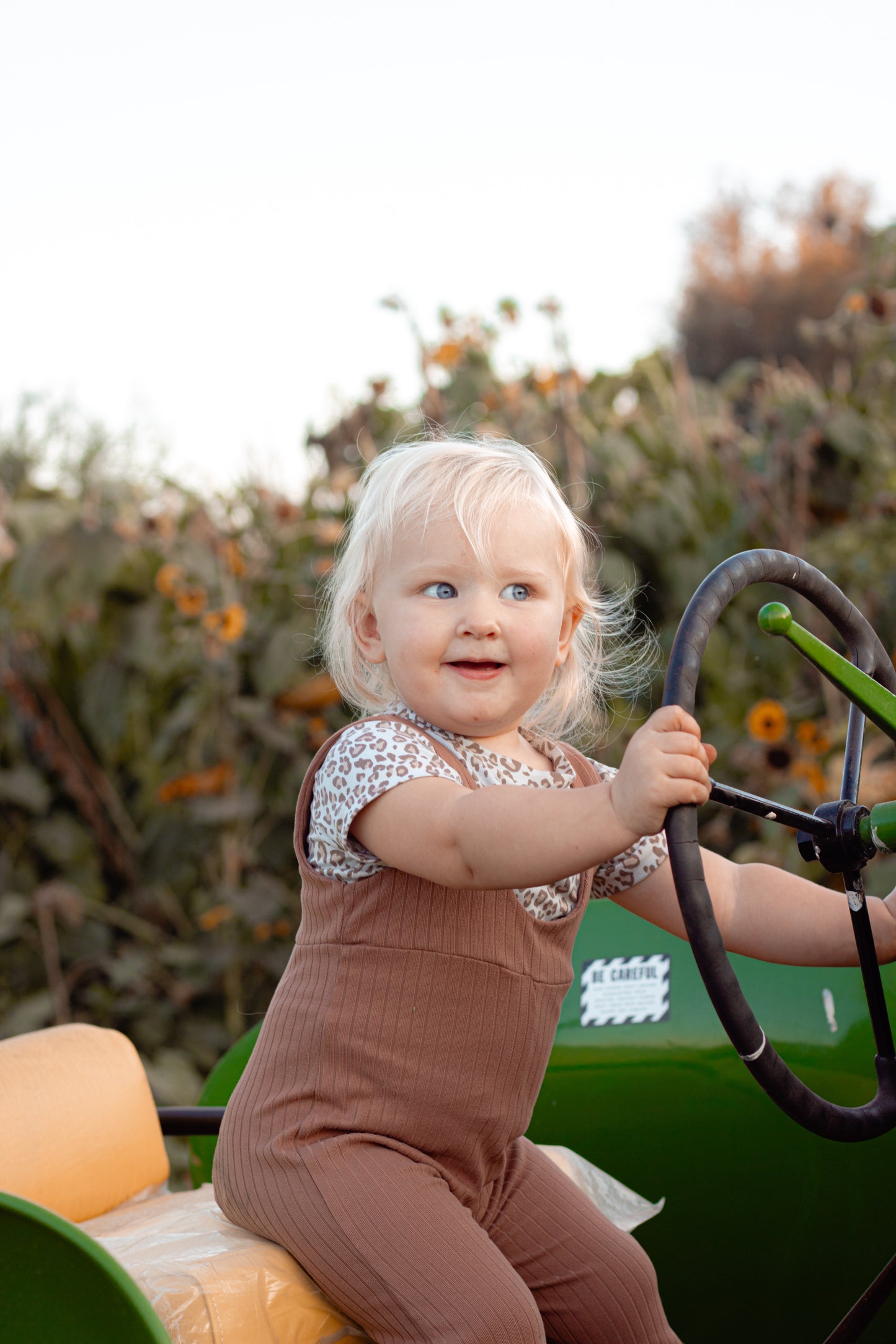 Fall Mini Photoshoot