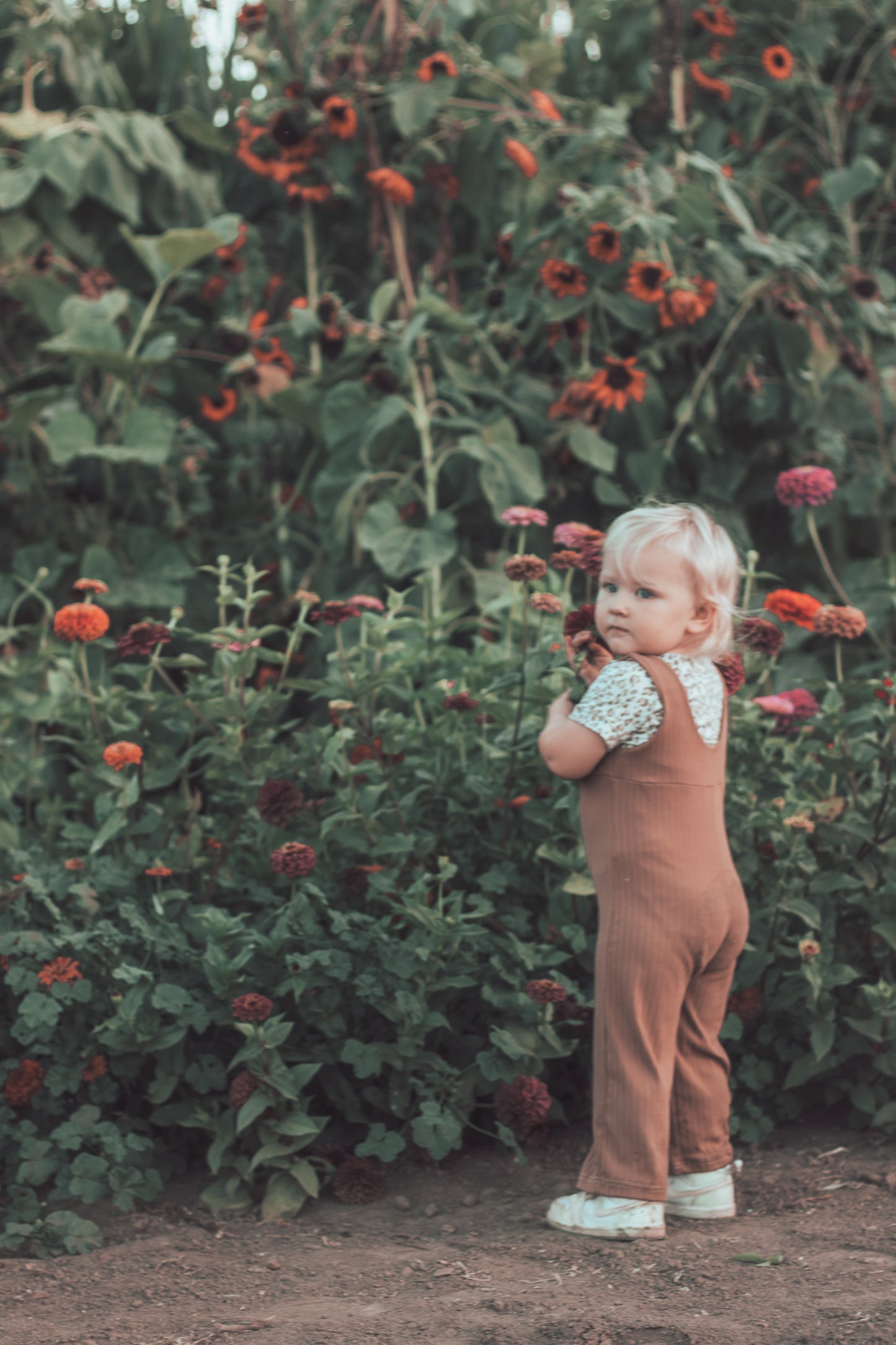 Fall Mini Photoshoot